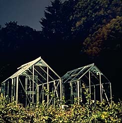[greenhouses]